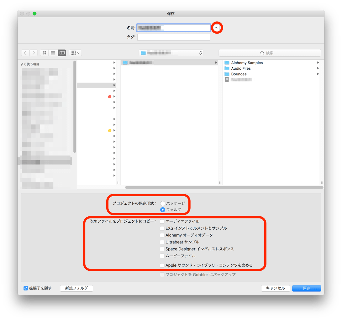 通常の保存画面（Ｖマーク箇所で画面切り替え）におけるパッケージORフォルダの選択、アセット（付属ファイル）の管理状態の選択画面