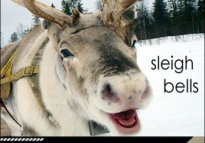 “Sleigh Bell / Jingle Bell” [Free]