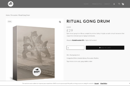 Ritual Gong Drum | Riot Audio