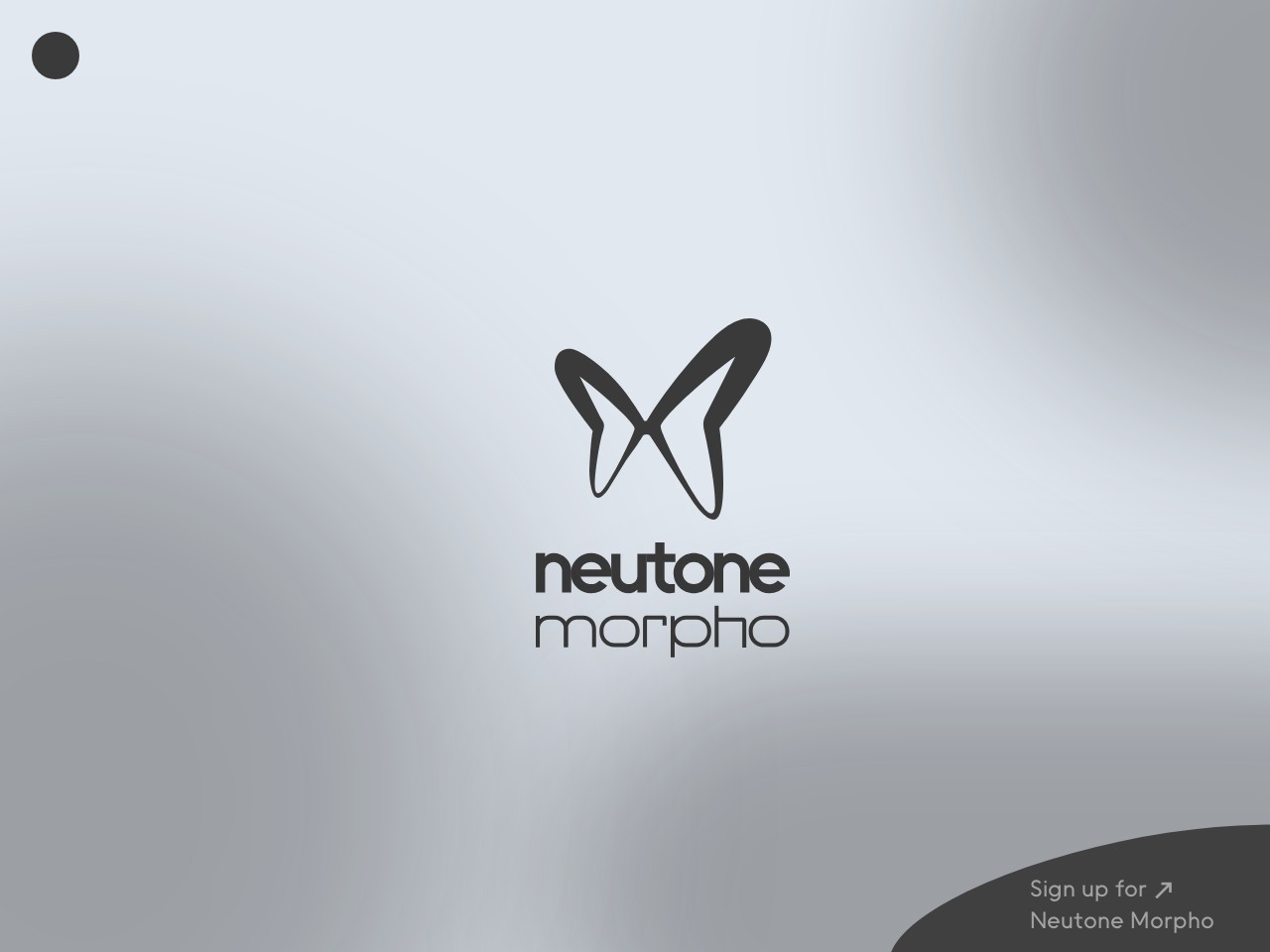 Neutone Morpho