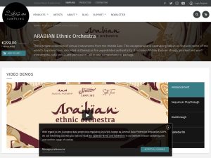 ARABIAN Ethnic Orchestra